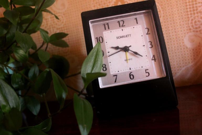 Наш дачный летний день