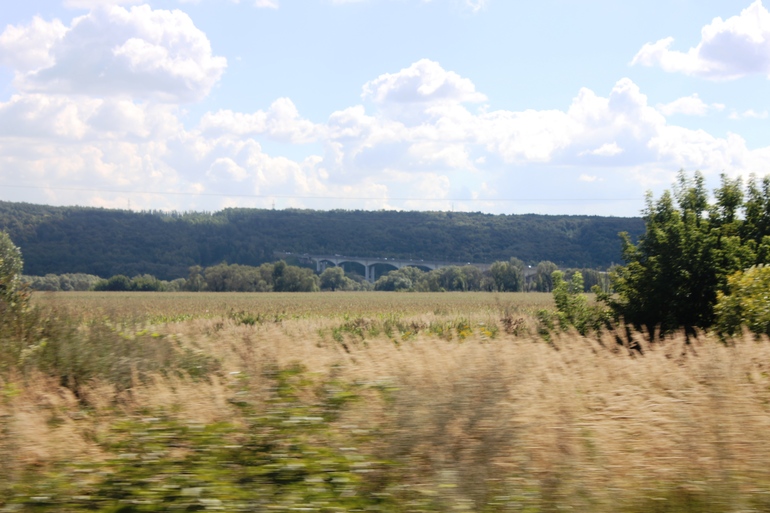 Наш дачный летний день