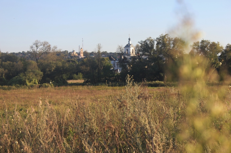 Наш дачный летний день