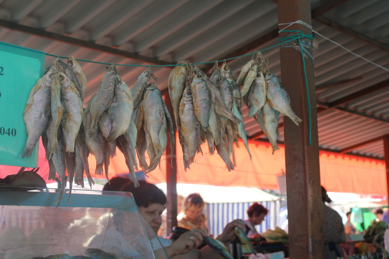 Наш дачный летний день