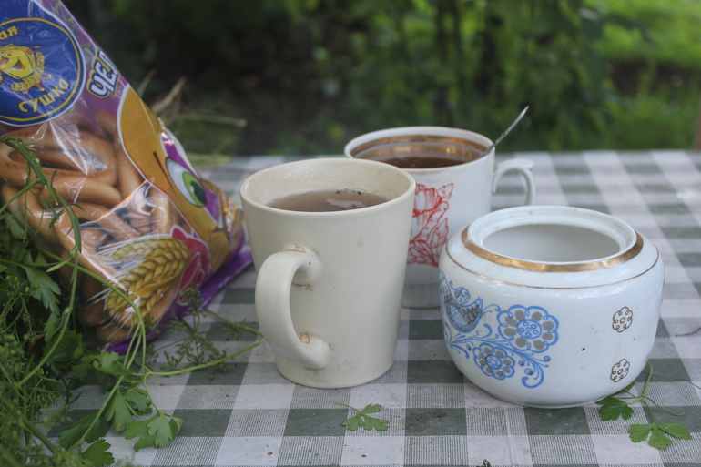 Наш дачный летний день