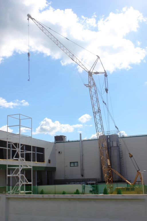 Наш дачный летний день