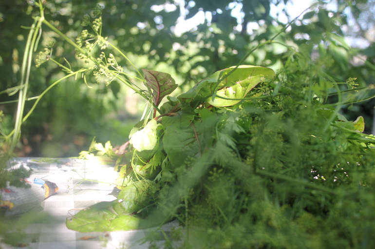 Наш дачный летний день