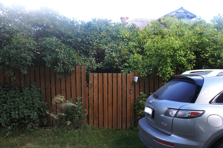 Наш дачный летний день