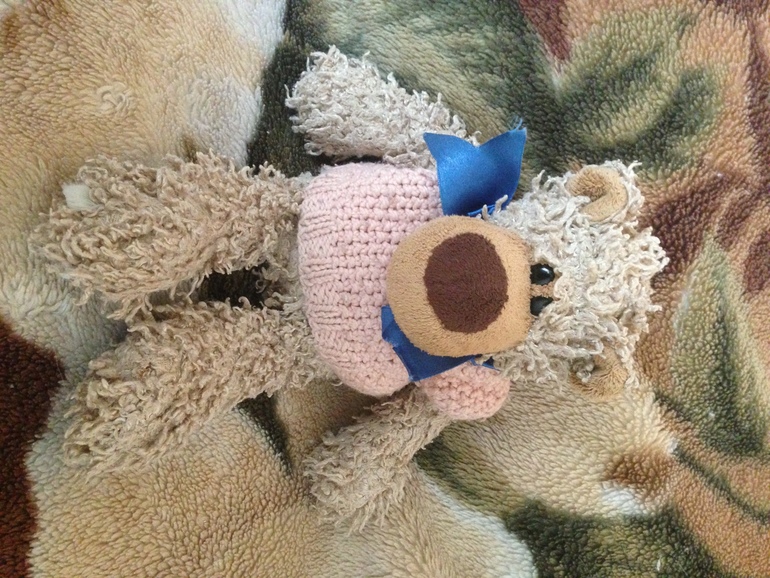 Торт с неизвестным зверем...!?