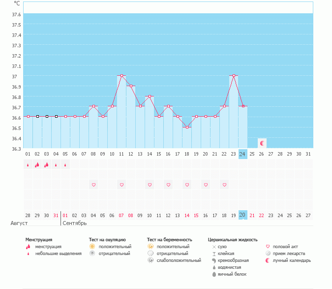 цикл без овуляции