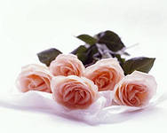 3b98aa40ab3ad7ed962cb5b5819c6a39.jpg