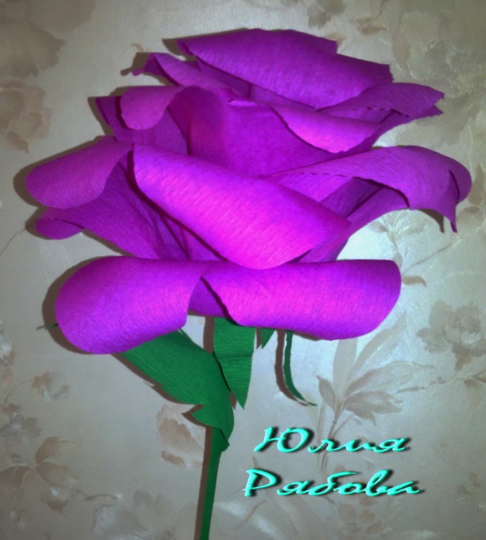 Гофрированные Розы расцвели)))