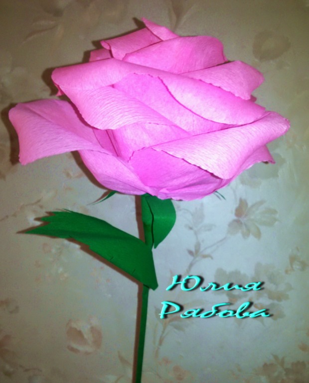 Гофрированные Розы расцвели)))