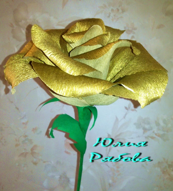 Гофрированные Розы расцвели)))