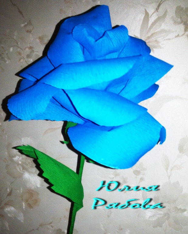 Гофрированные Розы расцвели)))