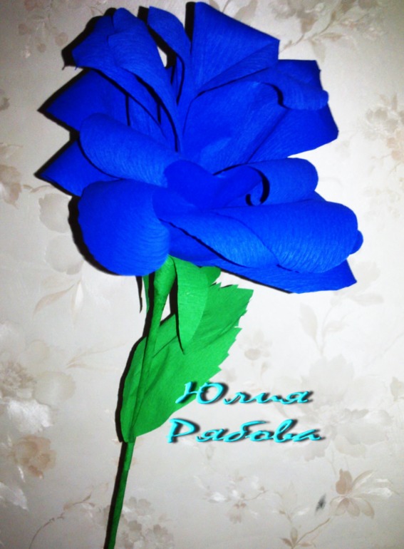 Гофрированные Розы расцвели)))