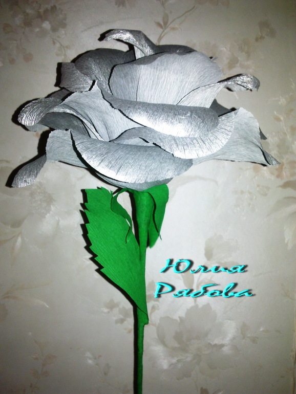 Гофрированные Розы расцвели)))