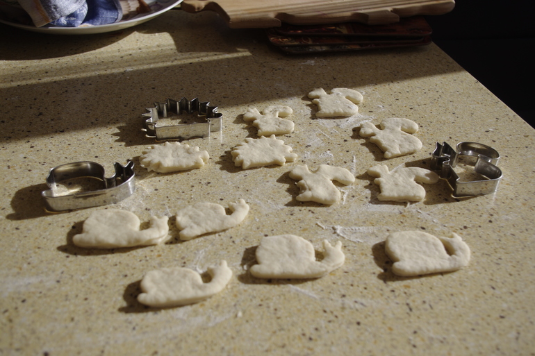 Ёжики, улитки и белки )