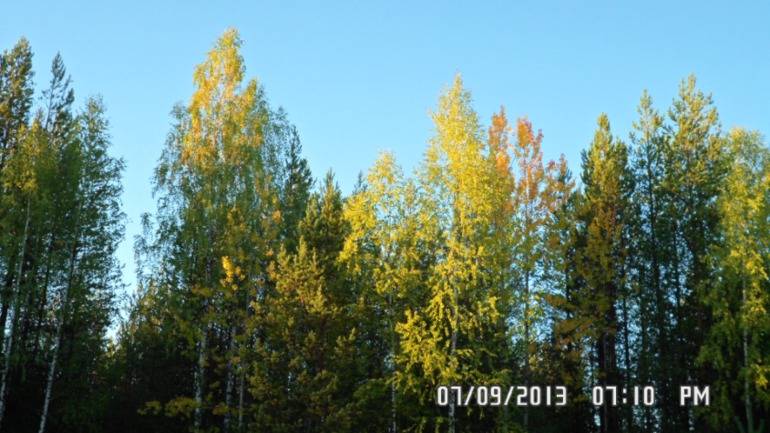 Наши выходные - поездка в осенний лес