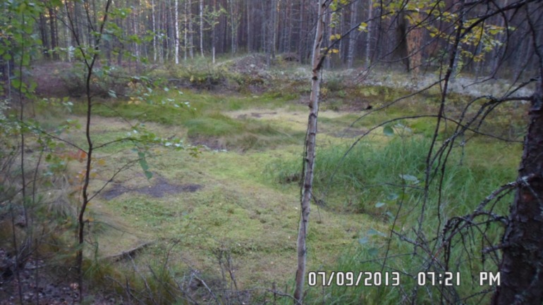 Наши выходные - поездка в осенний лес