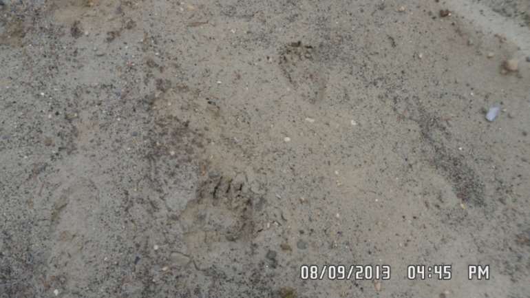 Наши выходные - поездка в осенний лес