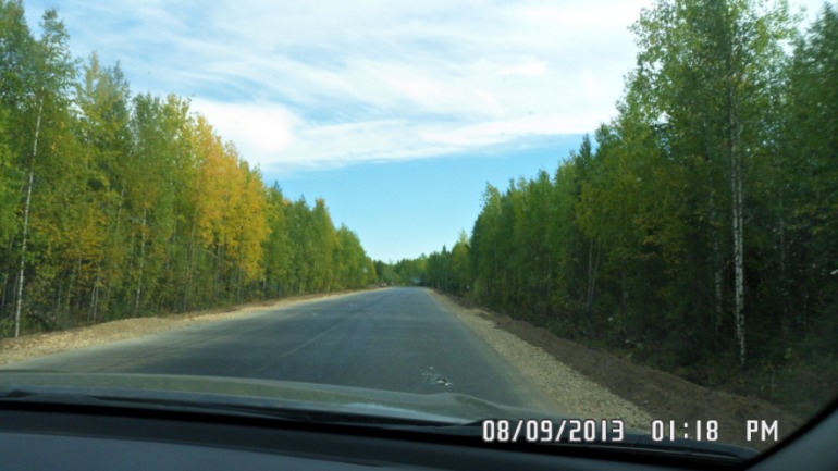 Наши выходные - поездка в осенний лес