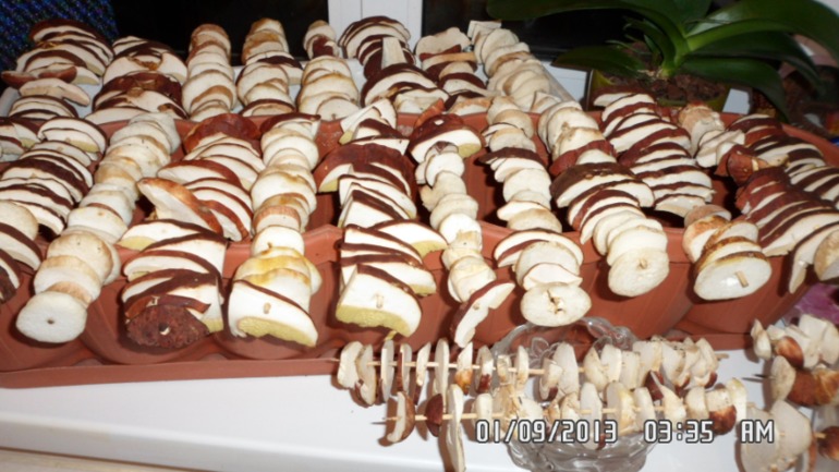 Наши выходные - поездка в осенний лес