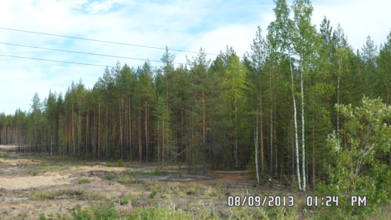 Наши выходные - поездка в осенний лес