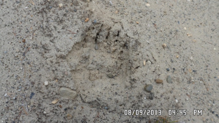 Наши выходные - поездка в осенний лес