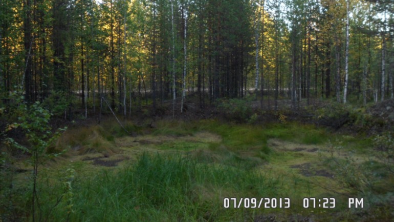 Наши выходные - поездка в осенний лес