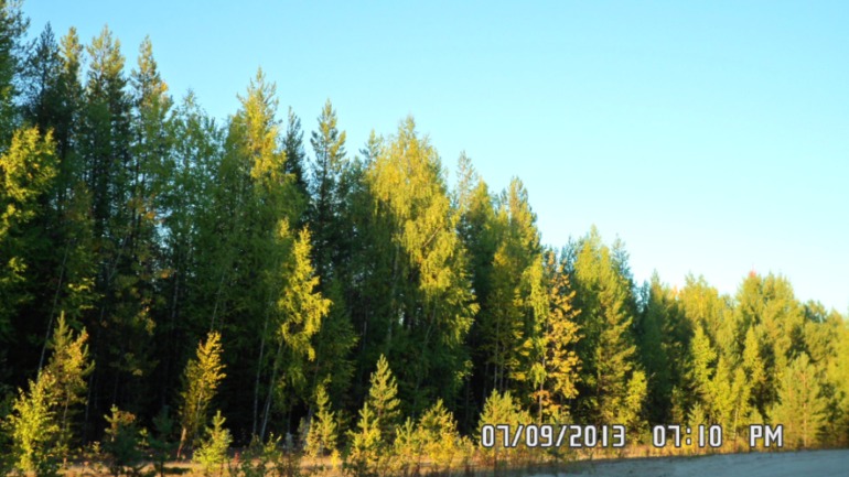 Наши выходные - поездка в осенний лес