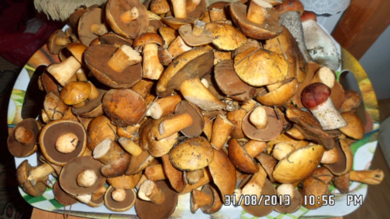 Наши выходные - поездка в осенний лес