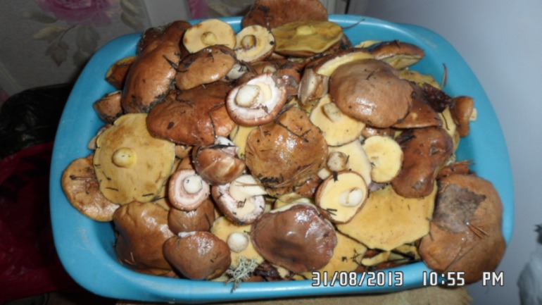 Наши выходные - поездка в осенний лес