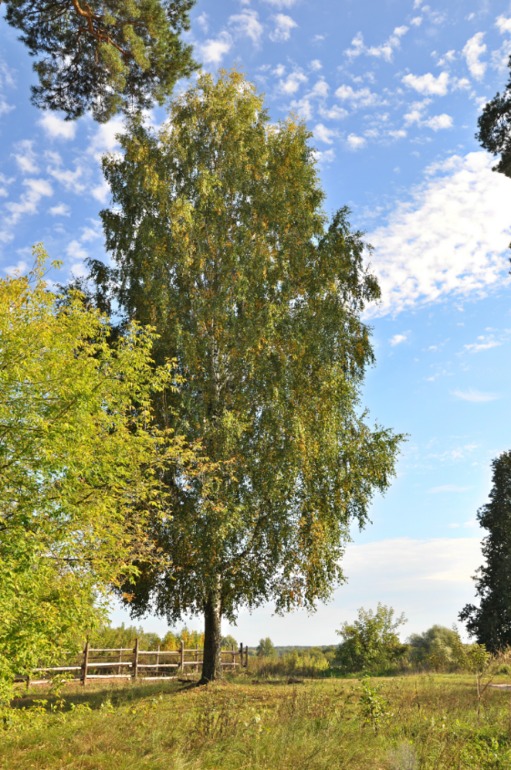 Удивительное рядом!!!