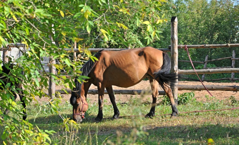 Удивительное рядом!!!