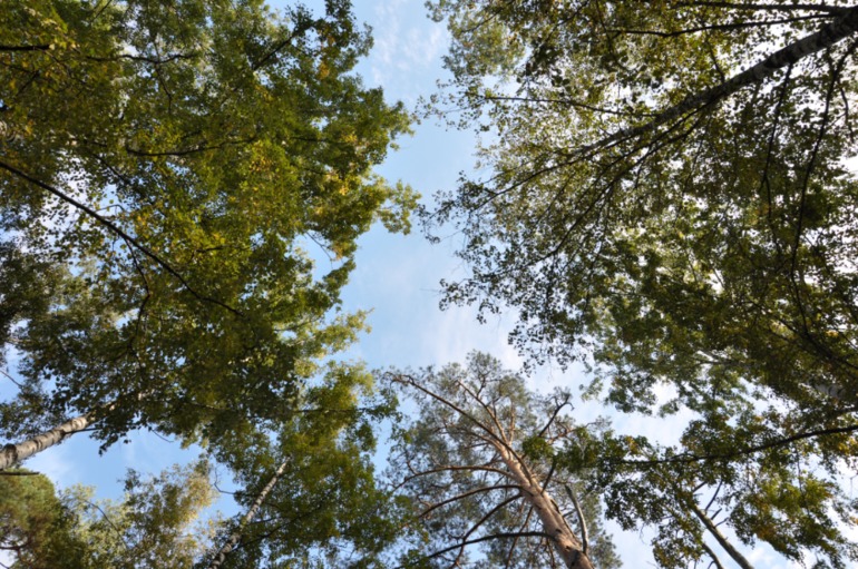 Удивительное рядом!!!