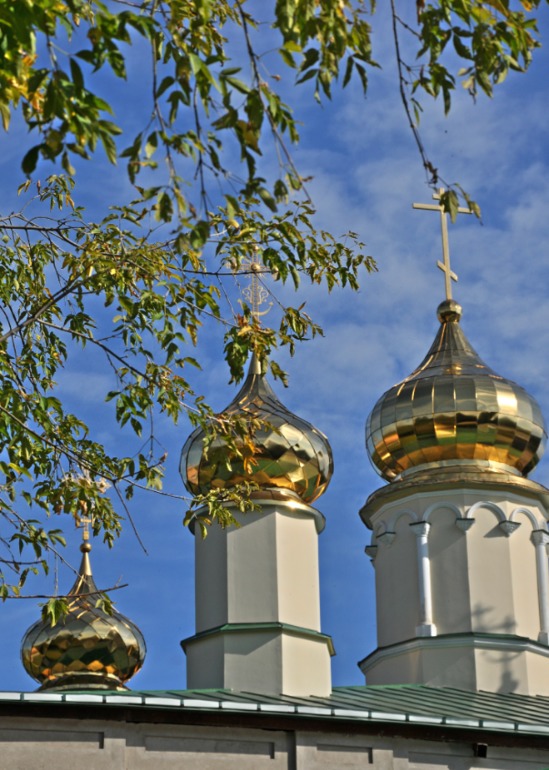 Удивительное рядом!!!