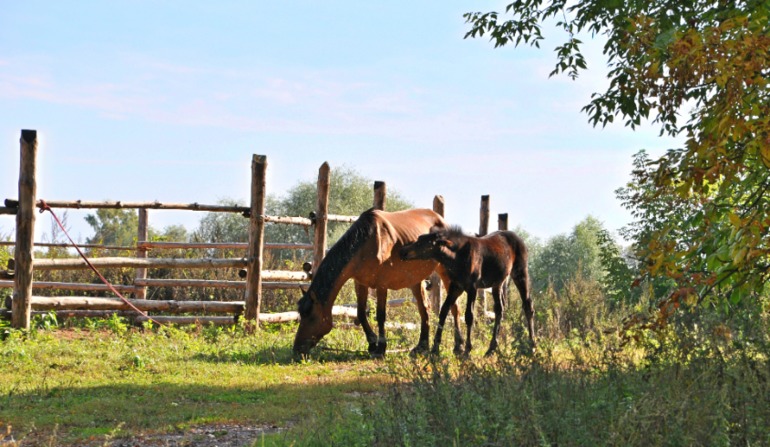Удивительное рядом!!!