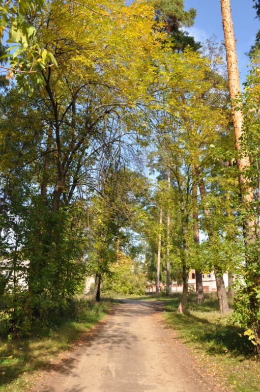 Удивительное рядом!!!