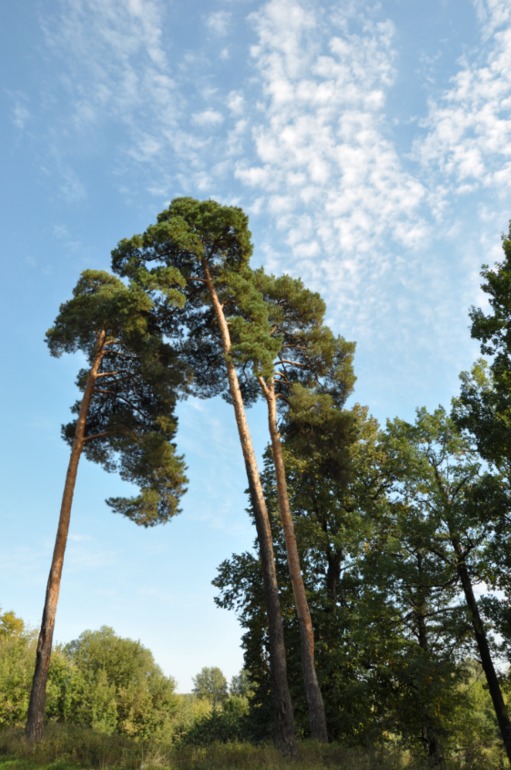 Удивительное рядом!!!