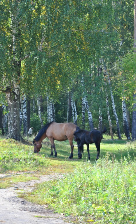 Удивительное рядом!!!