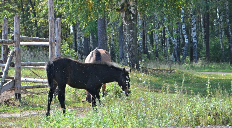 Удивительное рядом!!!