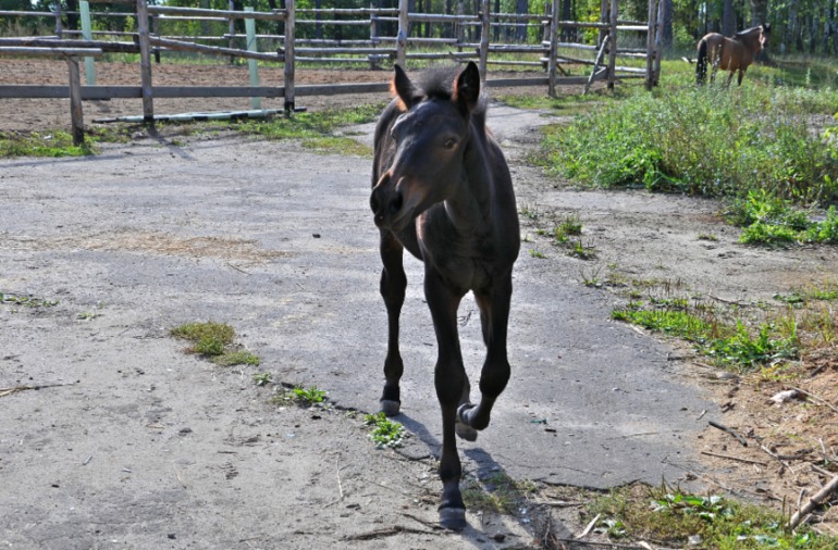 Удивительное рядом!!!