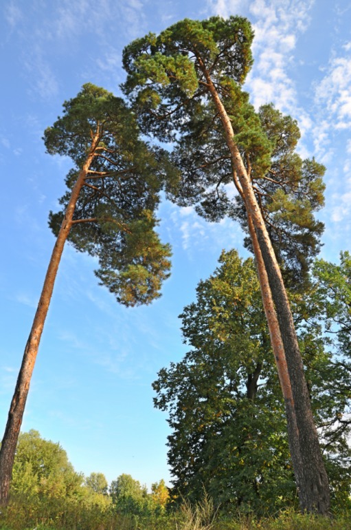 Удивительное рядом!!!