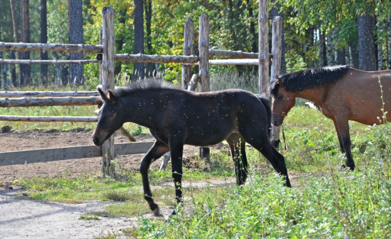 Удивительное рядом!!!