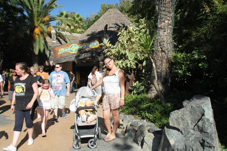 Испания 2013. Один день из жизни.