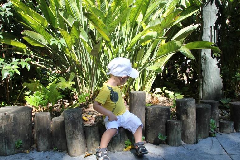 Испания 2013. Один день из жизни.