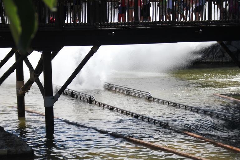 Испания 2013. Один день из жизни.