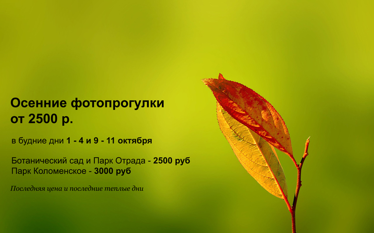 Осенние фотопрогулки