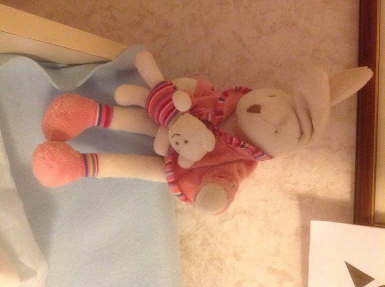 Коллекция зайчиков