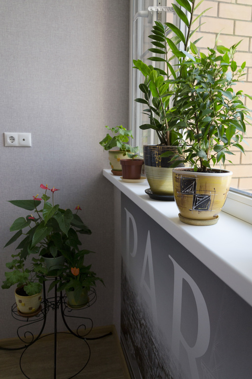 Моя любимая лоджия)