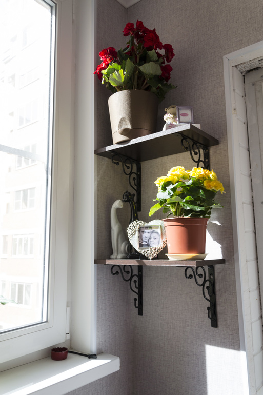 Моя любимая лоджия)