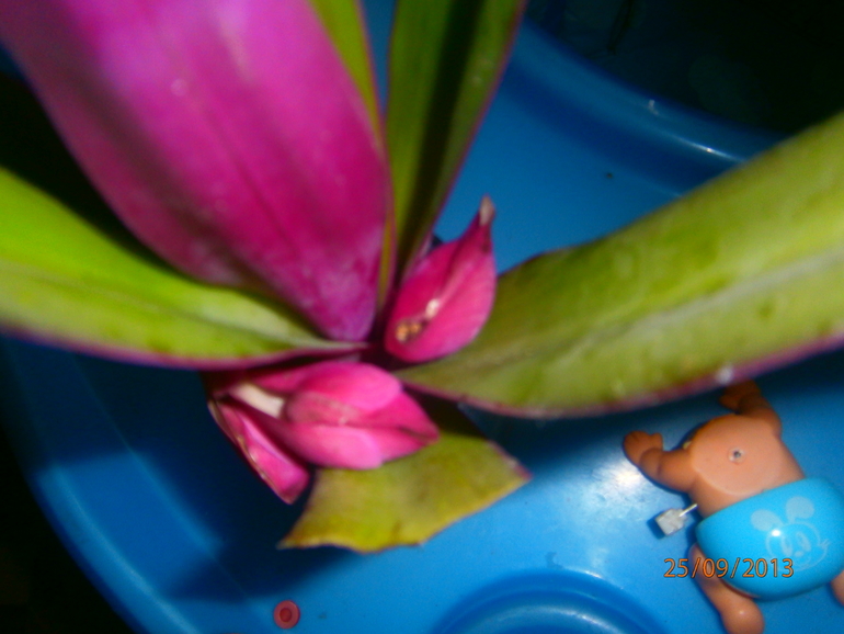 как называется?