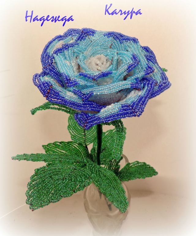 Роза "Голубая дымка"